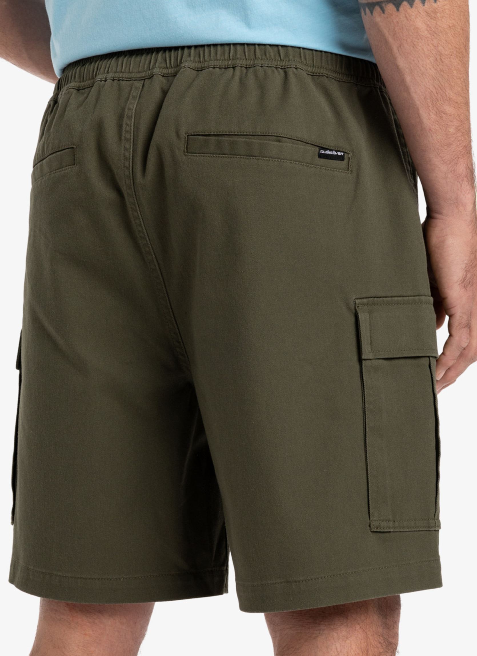 Bermuda's Taxer Cargo Ws EQYWS03879 heren groen Quiksilver Bermuda's Taxer Cargo Ws EQYWS03879 heren groen GRAPE LEAF