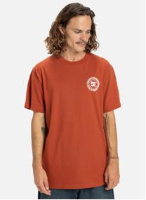 Tee-shirts DC Corpo Fb homme marron