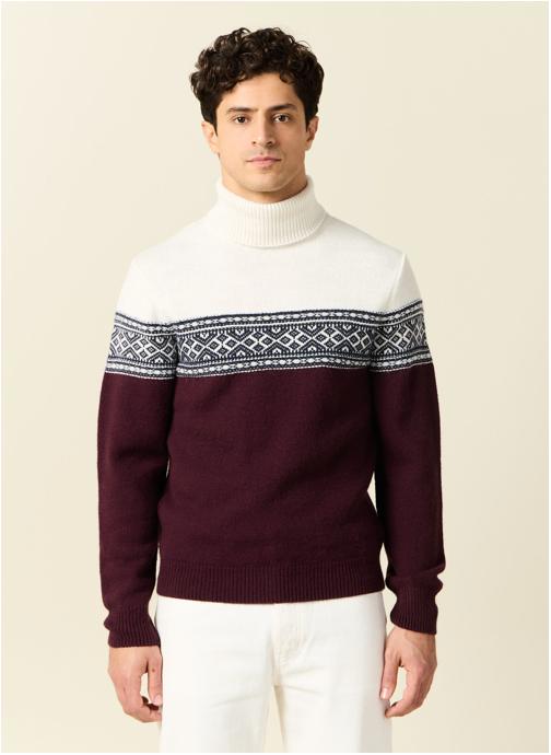 Bonobo Pulls Pulls col montant, Camionneur - HEJROULH homme violet
