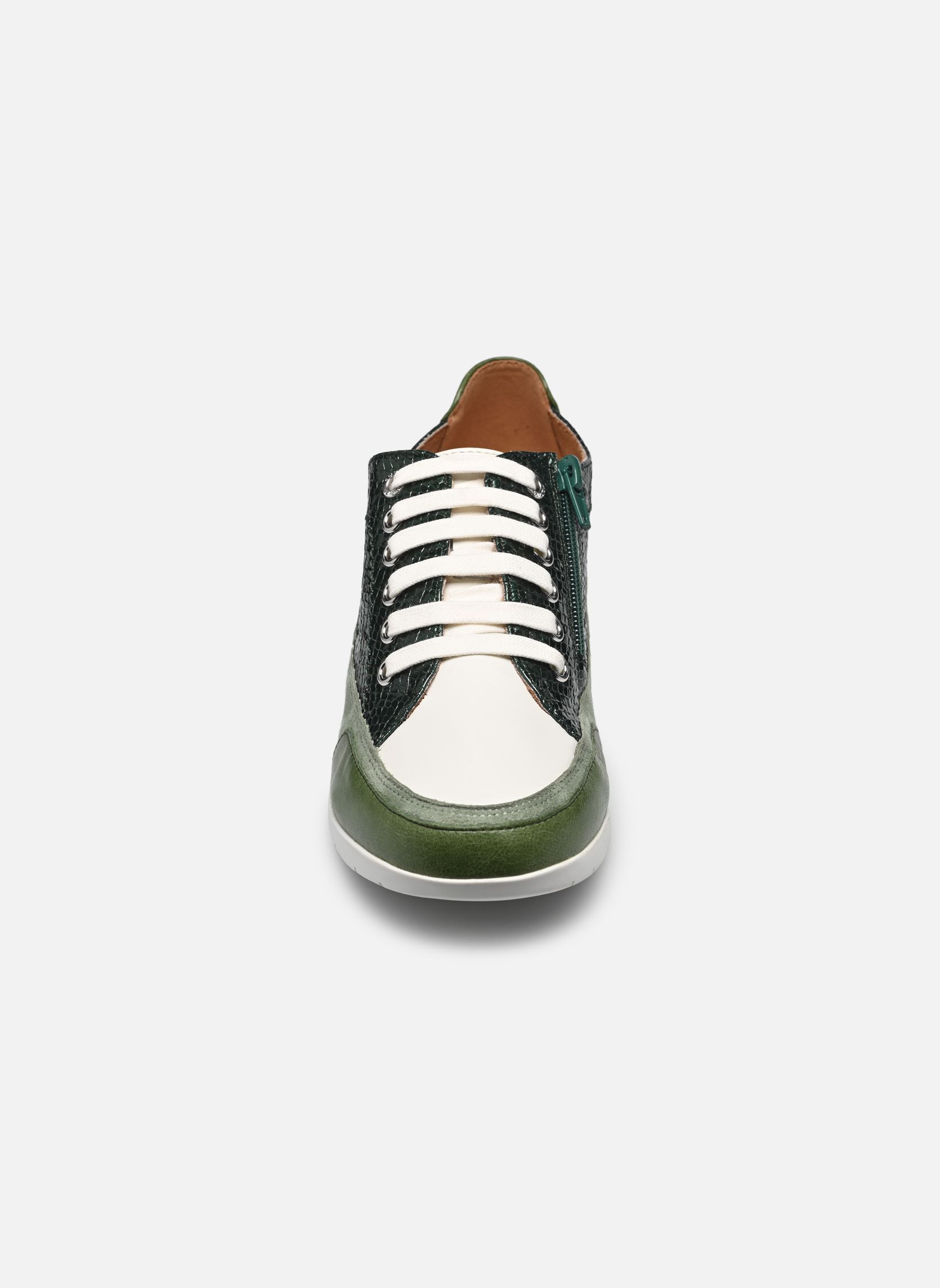 Baskets basses Camina femme vert Karston Baskets basses Camina femme vert Vert