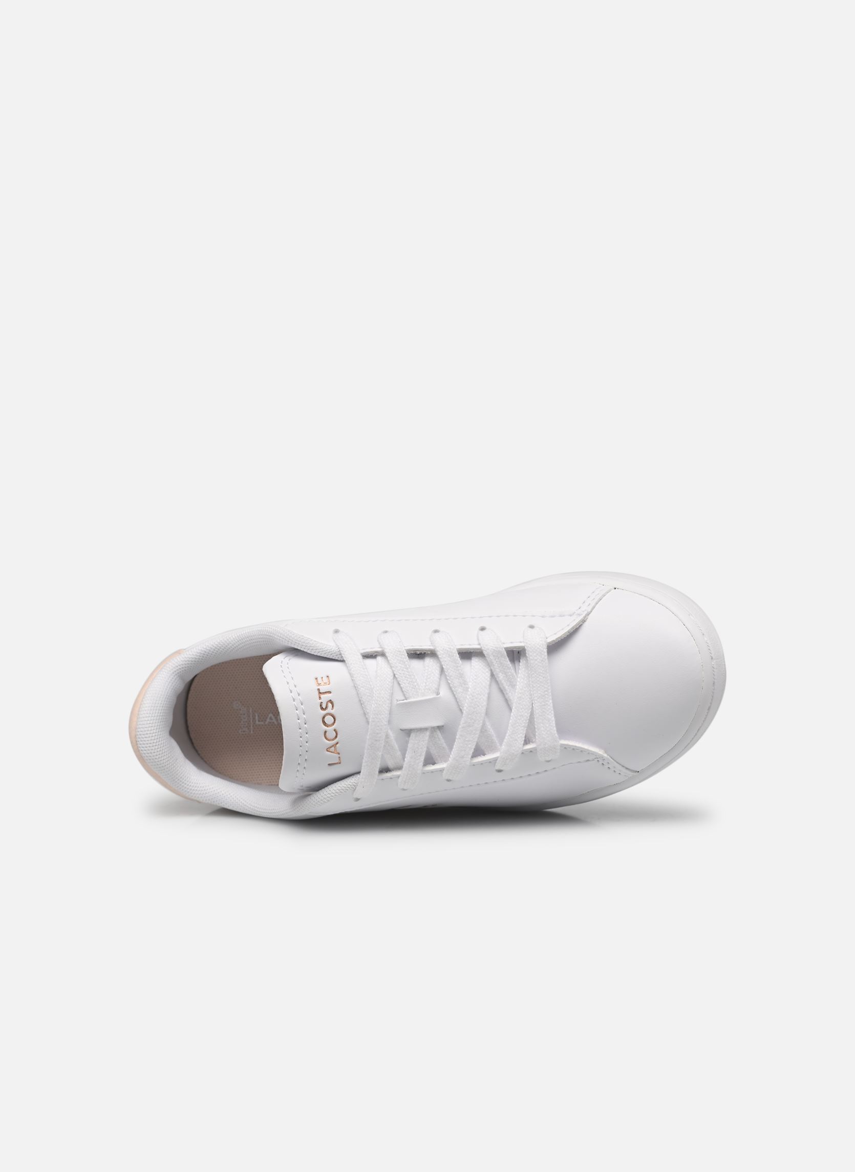 Baskets CARNABY SUC fille blanc Lacoste Baskets CARNABY SUC fille blanc Wht/Lt Pnk