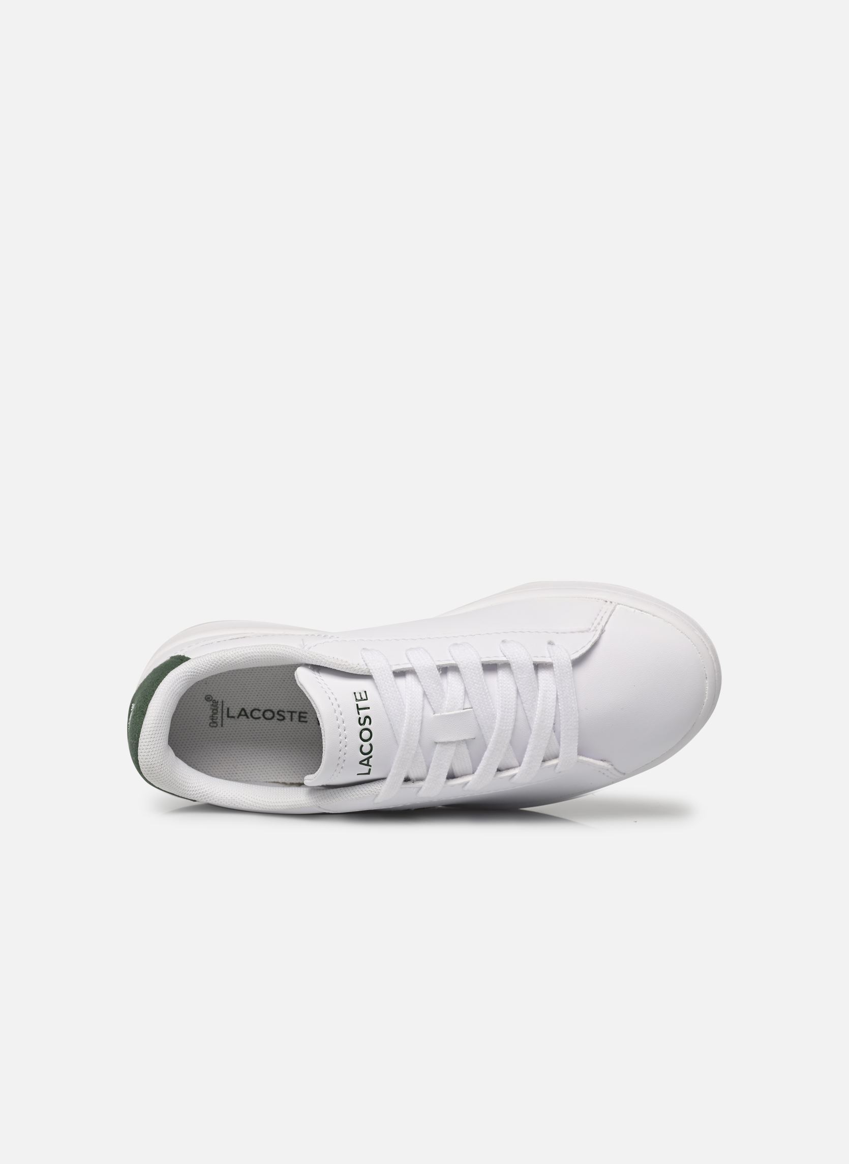 Sneakers CARNABY SUC wit Lacoste Sneakers CARNABY SUC wit WHT/DK GRN
