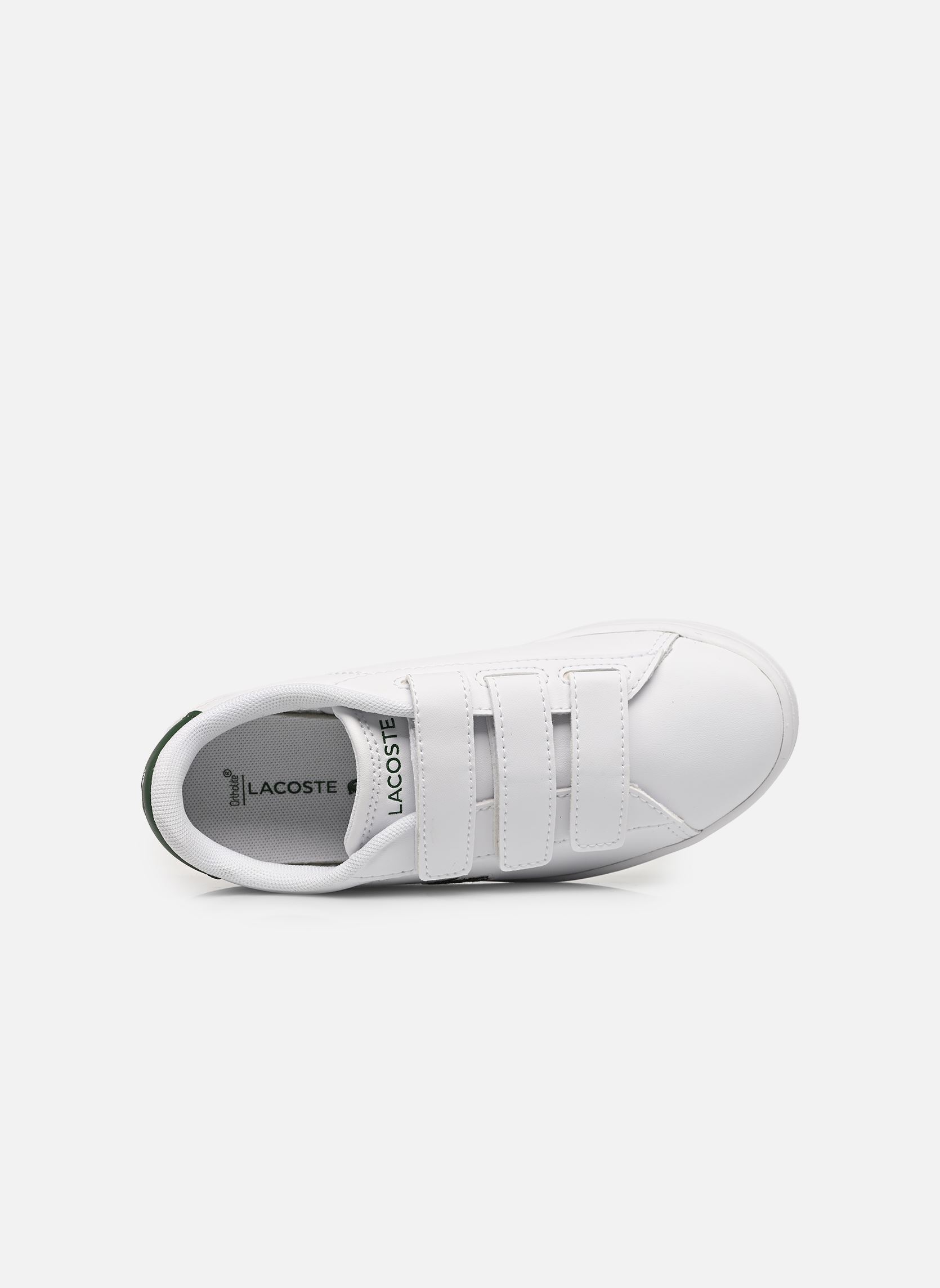 Sneaker CARNABY SUC weiß Lacoste Sneaker CARNABY SUC weiß WHT/DK GRN 2