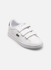 Sneaker CARNABY SUC weiß Lacoste Sneaker CARNABY SUC weiß WHT/DK GRN 2