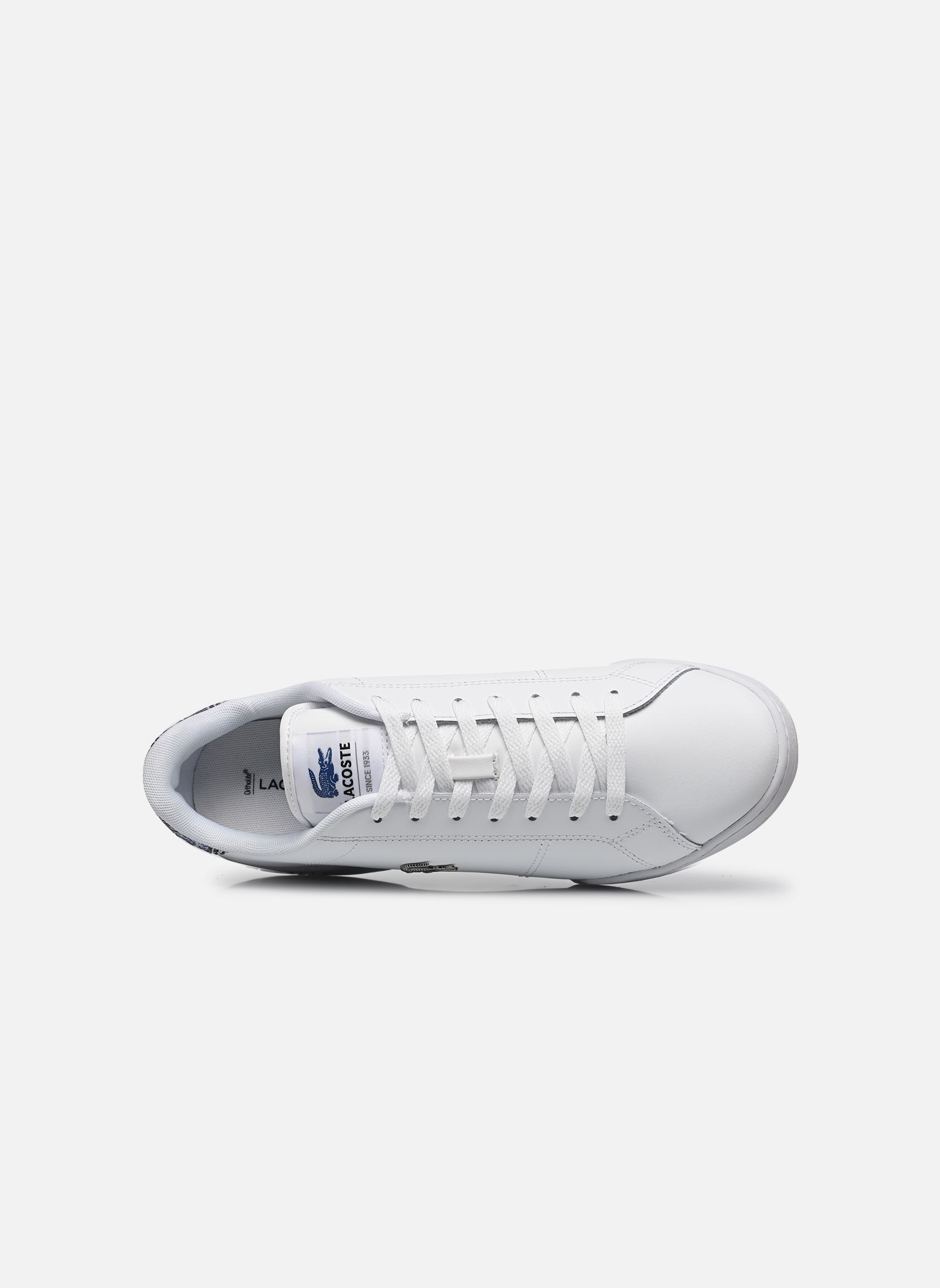 Baskets CARNABY CUP homme blanc Lacoste Baskets CARNABY CUP homme blanc WHT/BLU