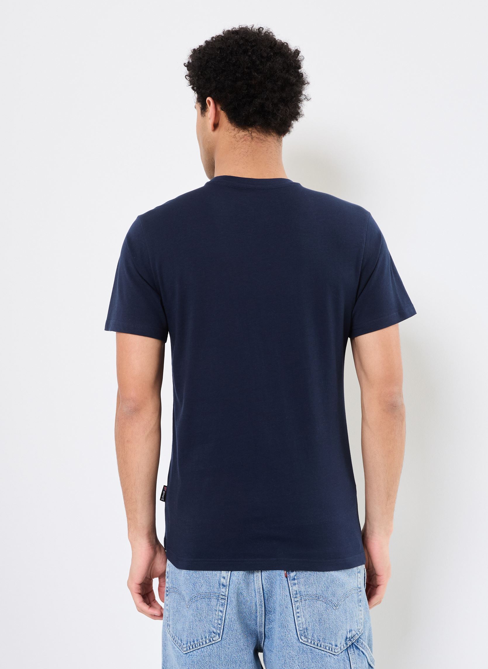 Tee-shirts manches courtes Tshirt Brode-TSCASUAL homme bleu Schott Tee-shirts manches courtes Tshirt Brode-TSCASUAL homme bleu NAVY