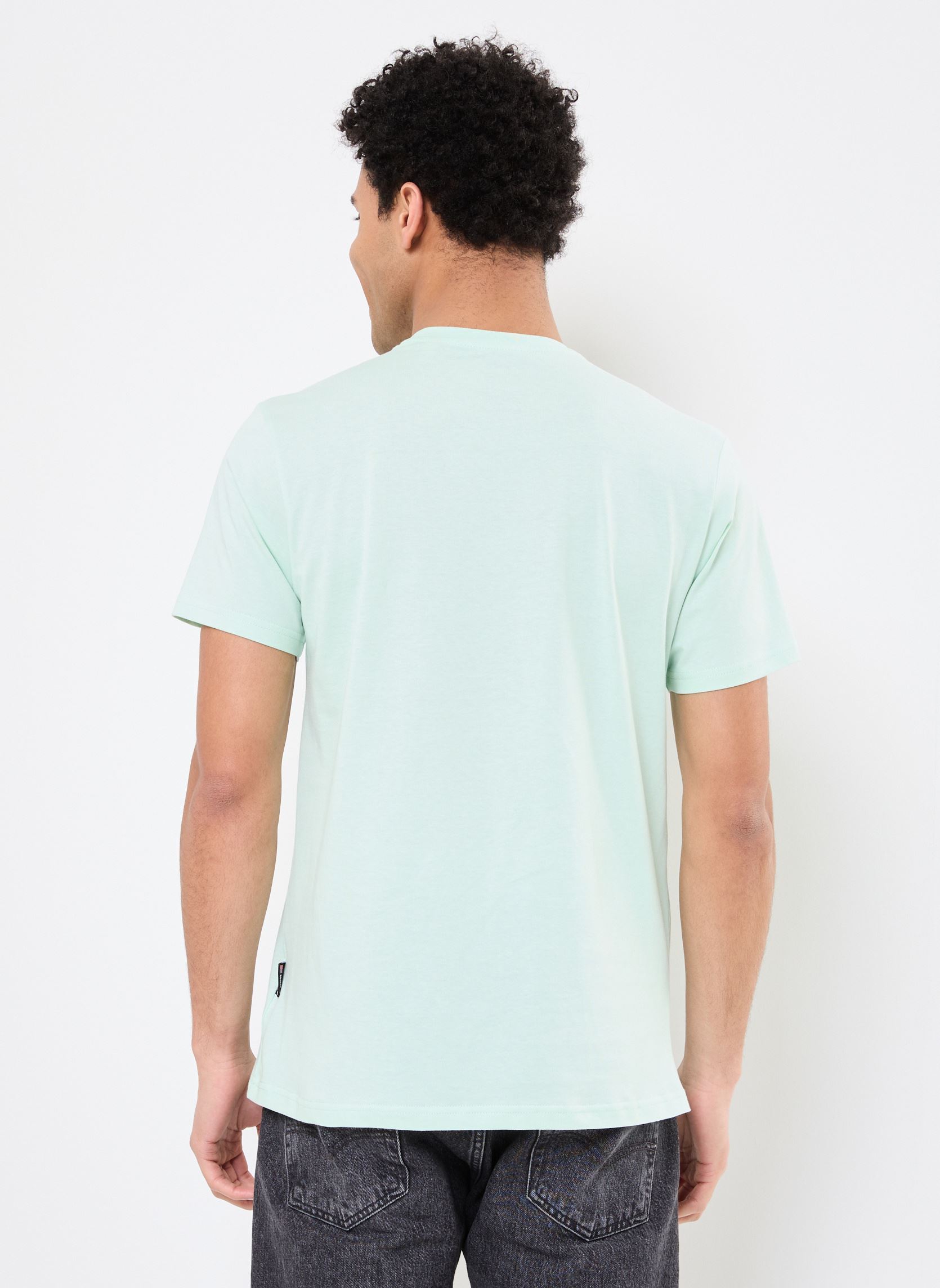 Tee-shirts manches courtes Tshirt Brode-TSCASUAL homme vert Schott Tee-shirts manches courtes Tshirt Brode-TSCASUAL homme vert PASTEL GREEN