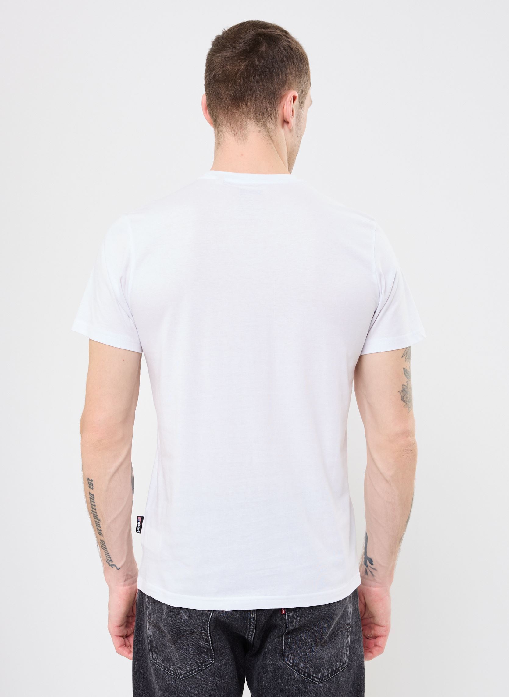Tee-shirts manches courtes Tshirt Brode-TSCASUAL homme blanc Schott Tee-shirts manches courtes Tshirt Brode-TSCASUAL homme blanc WHITE