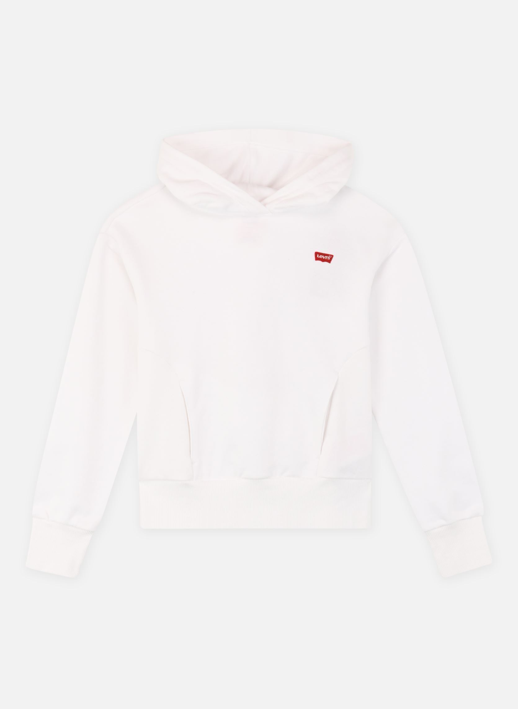 Vêtements Levi' Kids Levi' Batwing Patch Hoodie pour Accessoires