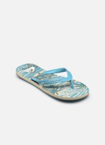 Tongs MOLOKAI ART 25 homme bleu