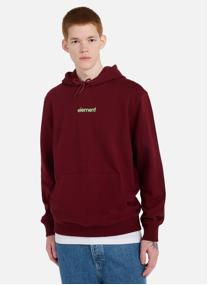 Sweats à capuche Simple Logo homme bleu