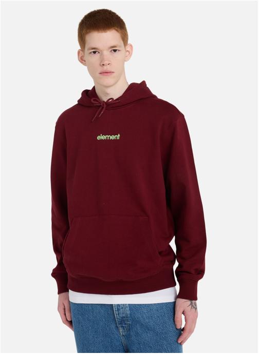 Element Sweats à capuche Simple Logo homme rouge