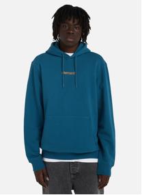 Sweats à capuche Simple Logo homme bleu