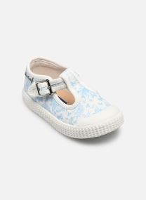 Lage sneakers T&C 14 BABIES jongens blauw