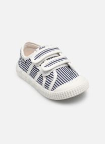 Baskets basses T&C 14 EASY garçon vert