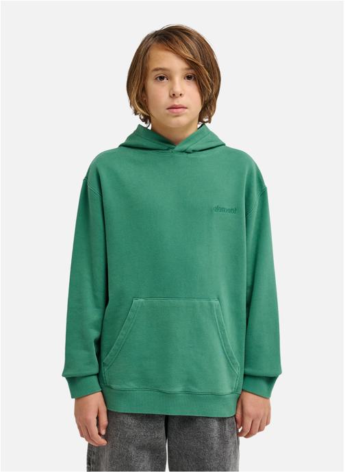 Element Sweats à capuche Cornell 3.0 garçon vert