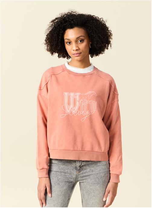Bonobo Sweats à capuche Sweats fantaisie - RANCHSWEAF femme rose