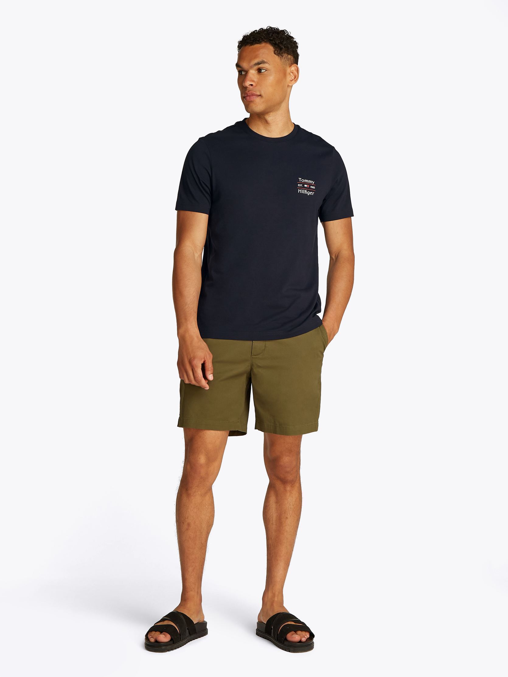 T-shirt a maniche corte Hilfiger Stack Tee MW0MW38622 uomo blu Tommy Hilfiger T-shirt a maniche corte Hilfiger Stack Tee MW0MW38622 uomo blu DESERT SKY