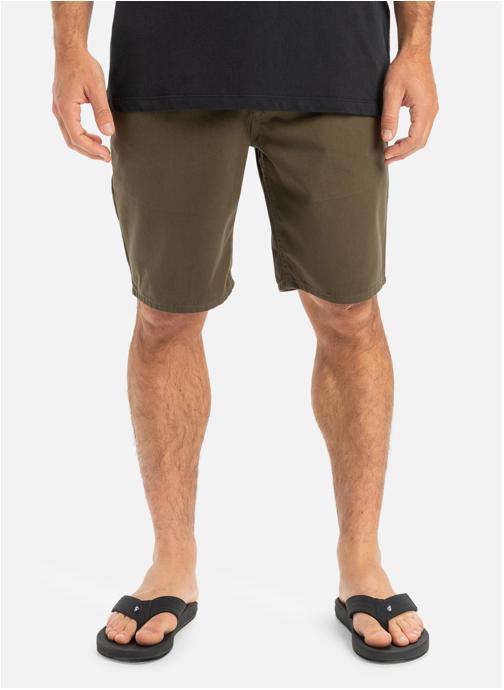 Quiksilver Shorts Everyday 20 homme vert