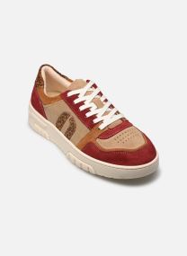 Niedrige Sneaker Nora damen grün