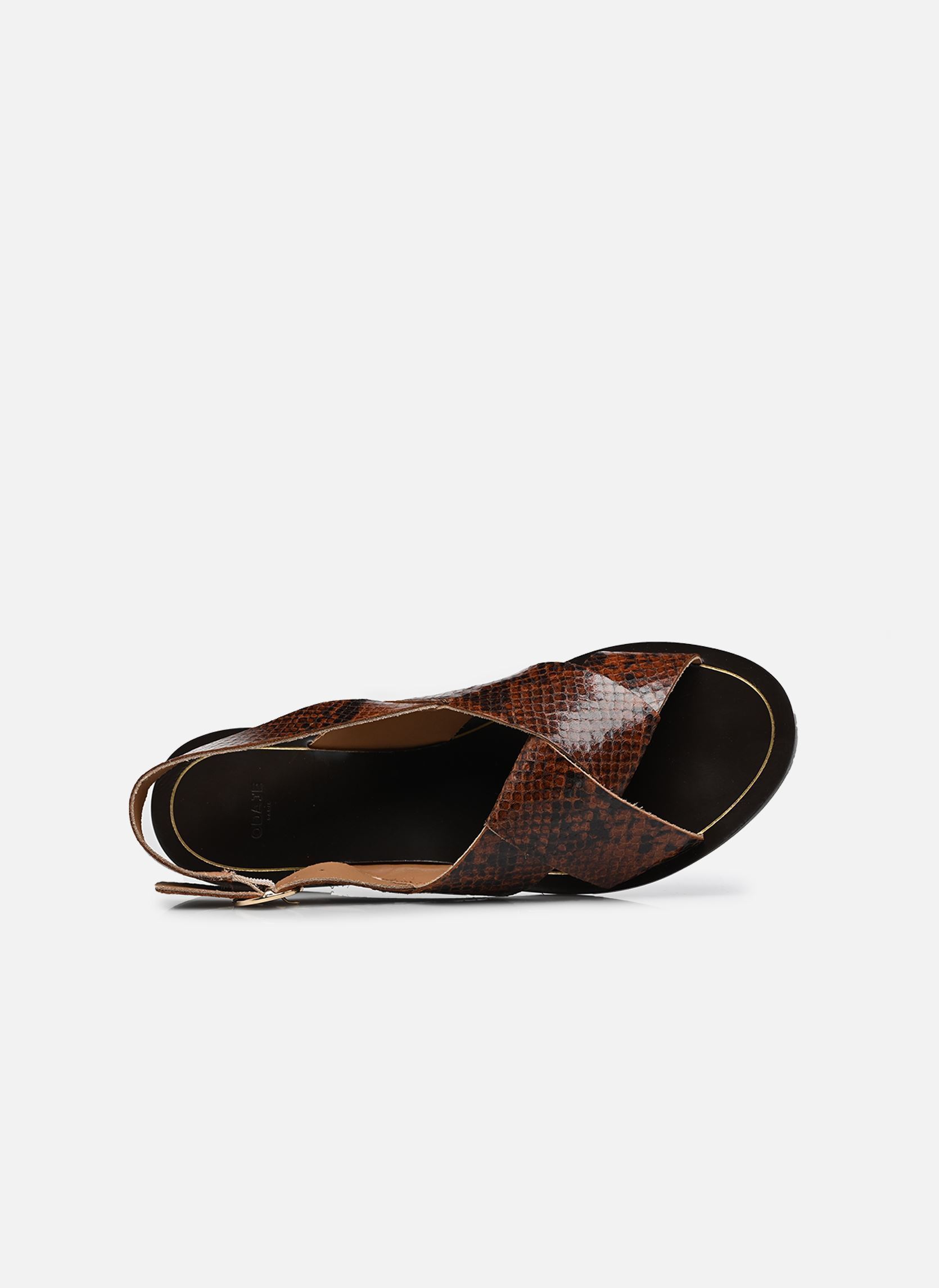 Platte sandalen Paloma dames zwart Odaje Platte sandalen Paloma dames zwart CUIR PYTHON MARRON