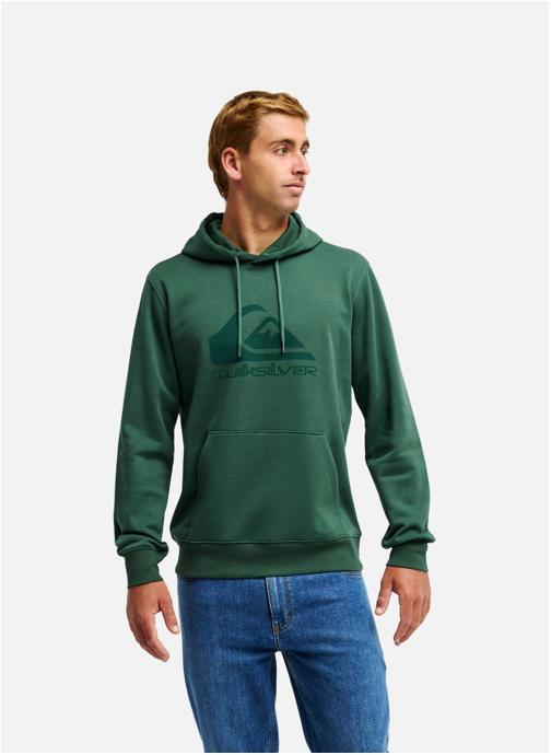 Quiksilver Sweats à capuche Sweat à capuche COMP LOGO homme vert