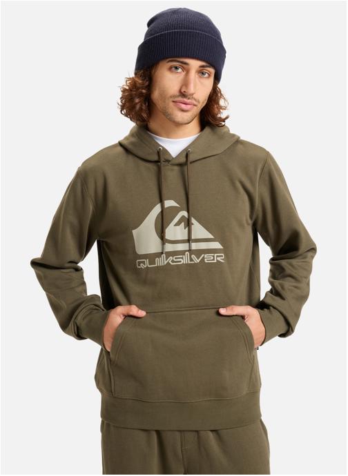 Quiksilver Sweats à capuche Comp Logo homme vert