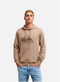 Sweats à capuche Comp Logo homme vert