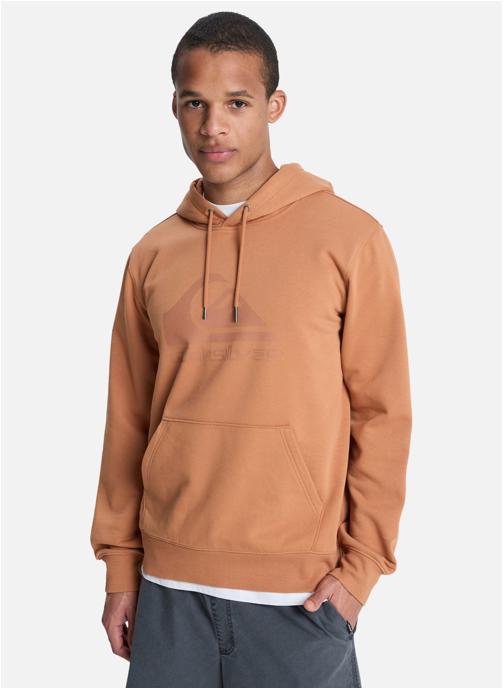 Quiksilver Sweats à capuche Comp Logo homme marron