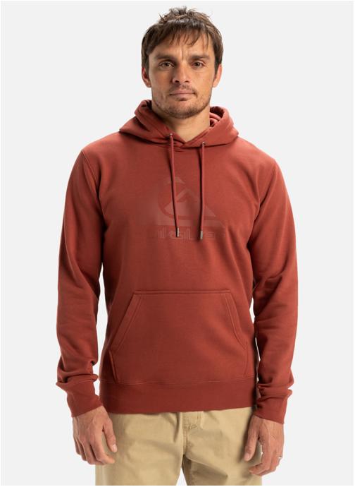 Quiksilver Sweats à capuche Comp Logo homme marron