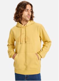 Sweats à capuche Comp Logo homme vert