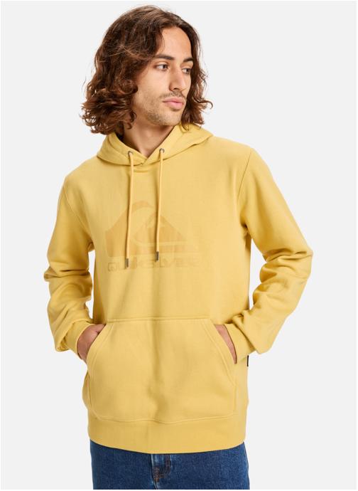 Quiksilver Sweats à capuche Comp Logo homme jaune