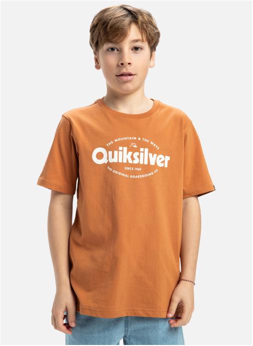 Quiksilver Tee-shirts Ev Shape All Days garçon marron