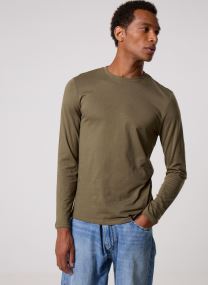 Tee-shirts TARUNI homme bordeaux