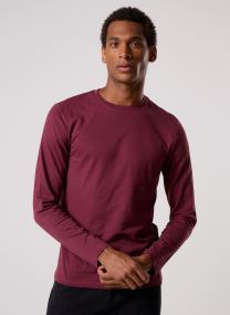 Tee-shirts TARUNI homme bordeaux MADE BY Tee-shirts TARUNI homme bordeaux VINEYARD WINE