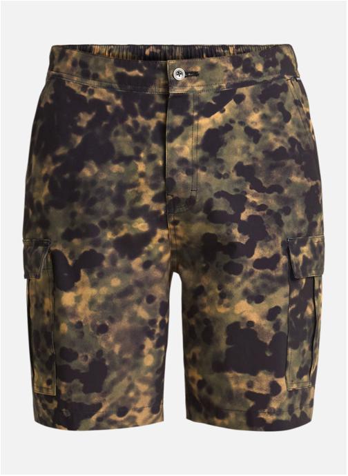 Quiksilver Shorts Half 19 homme multicolore