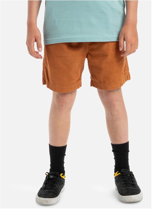 Quiksilver Shorts Short de marche à taille élastique TAXER garçon marron