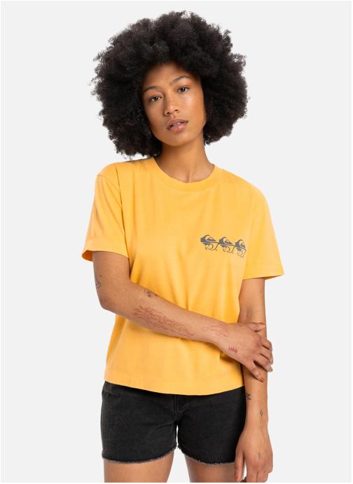 Quiksilver Tee-shirts T-shirt à manches courtes STANDARD femme orange