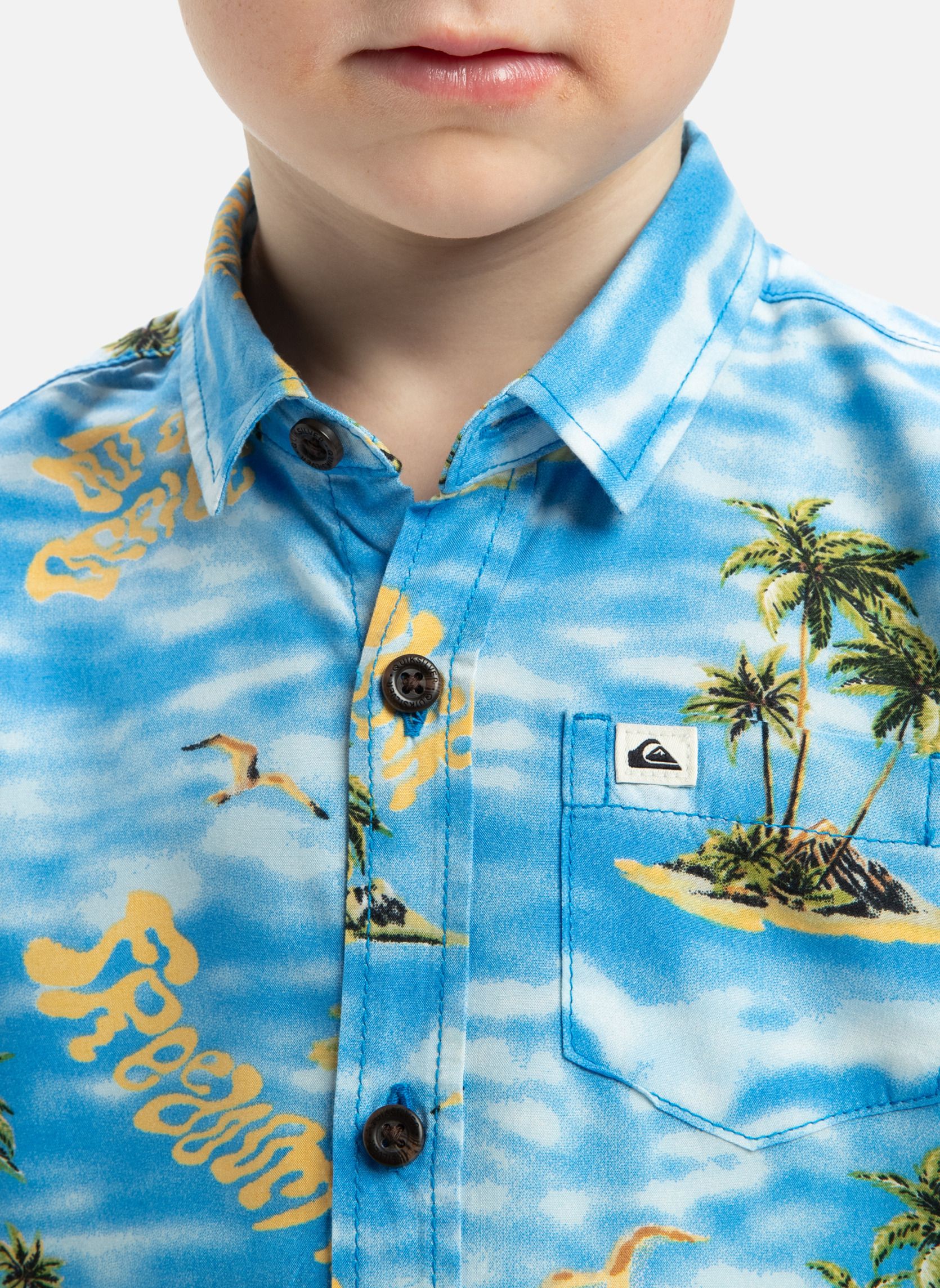 Chemises Safe Paradise garçon bleu Quiksilver Chemises Safe Paradise garçon bleu Bleu