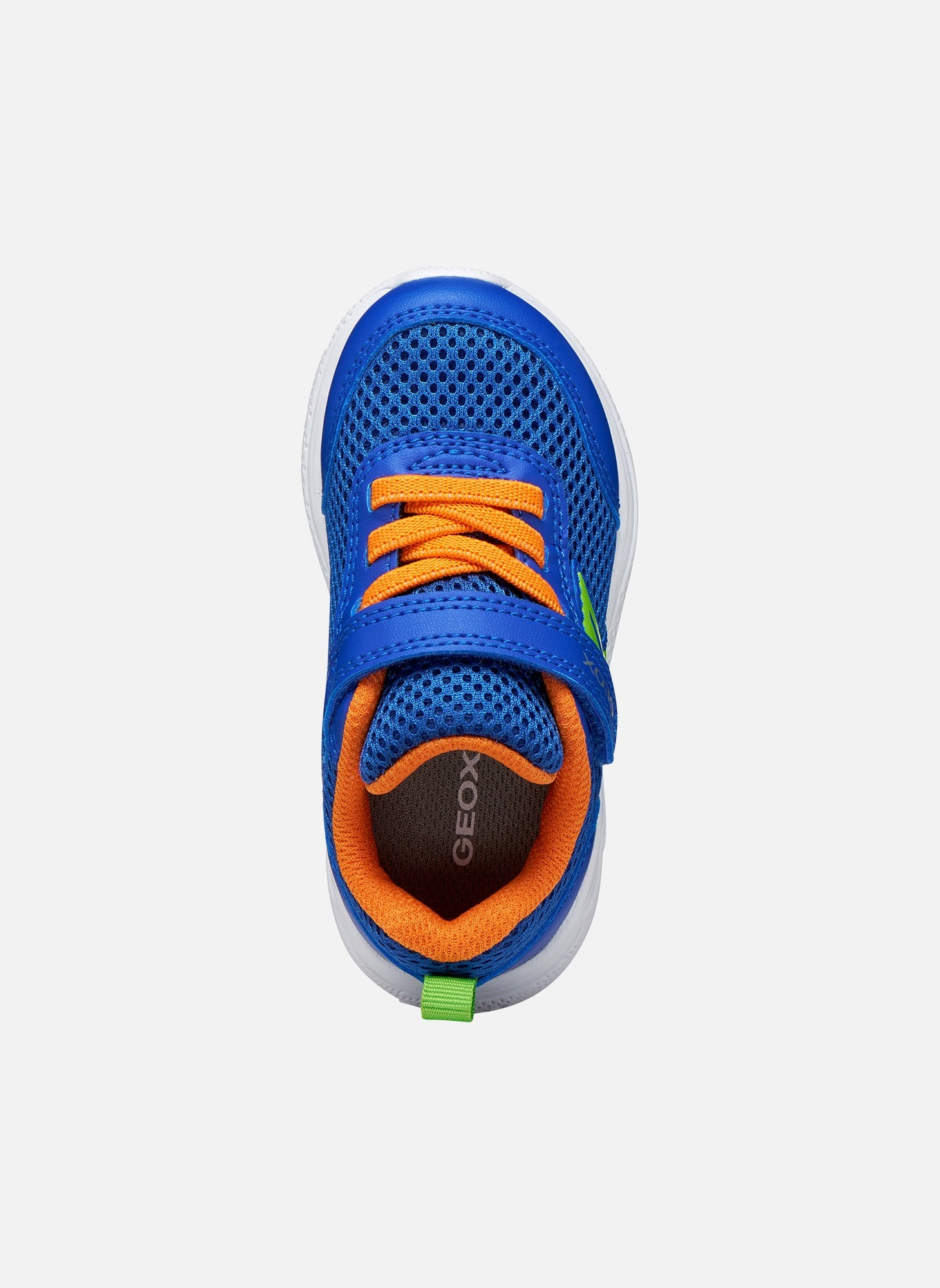 Baskets basses SPRINTYE BABY BOY garçon bleu Geox Baskets basses SPRINTYE BABY BOY garçon bleu Bleu azur
