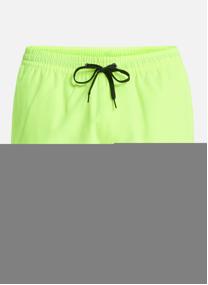 Shorts de bain Everyday Solid Volley 15 homme bleu