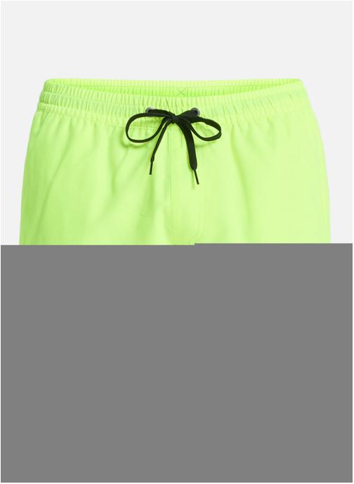 Quiksilver Shorts de bain Everyday Solid Volley 15 homme vert