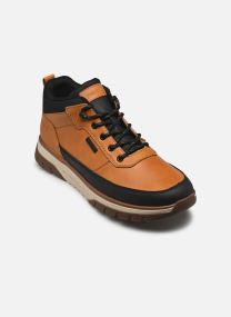 Baskets montantes B9300 homme marron