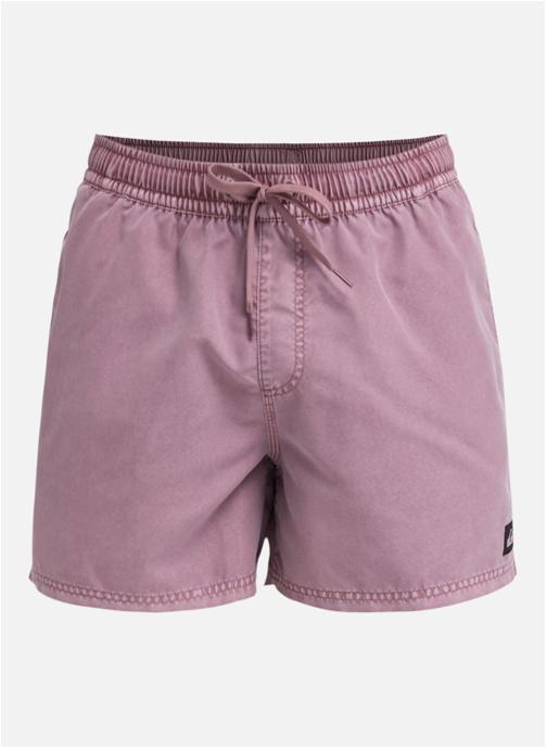 Quiksilver Shorts de bain Everyday Surfwash Volley 15 homme violet