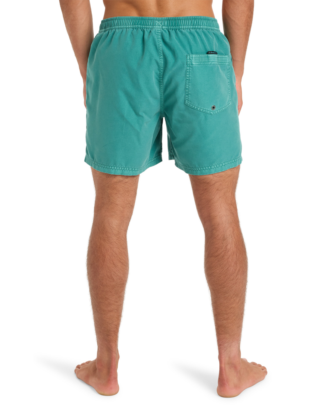 Shorts de bain Everyday Surfwash Volley 15 homme vert Quiksilver Shorts de bain Everyday Surfwash Volley 15 homme vert Vert