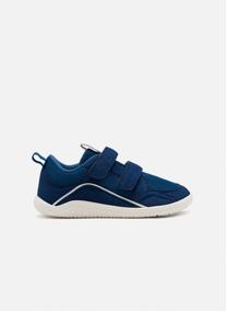 Baskets basses Cas&sport - Gioseppo Barefoot - Baskets Colebrook - Marino garçon bleu Gioseppo Baskets basses Cas&sport - Gioseppo Barefoot - Baskets Colebrook - Marino garçon bleu Bleu foncé