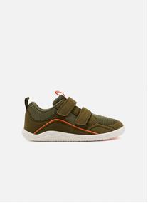 Baskets basses Cas&sport - Gioseppo Barefoot - Baskets Colebrook - Kaki garçon vert Gioseppo Baskets basses Cas&sport - Gioseppo Barefoot - Baskets Colebrook - Kaki garçon vert Kaki