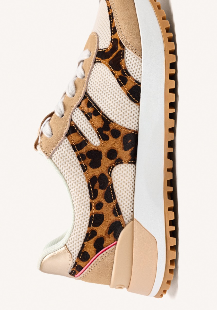 Baskets basses multicolore Gioseppo Baskets basses multicolore Multicouleur
