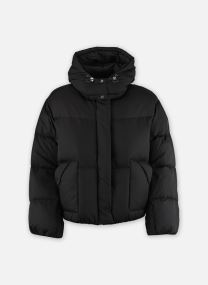 Daunenjacken WESTERN BUBBLE SHORTIE BLACKS damen schwarz Levi's Daunenjacken WESTERN BUBBLE SHORTIE BLACKS damen schwarz ANTHRACITE NIGHT