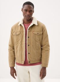 Vestes en jean TYPE 3 SHERPA TRUCKER MED INDIGO - WORN homme marron Levi's Vestes en jean TYPE 3 SHERPA TRUCKER MED INDIGO - WORN homme marron ERMINE